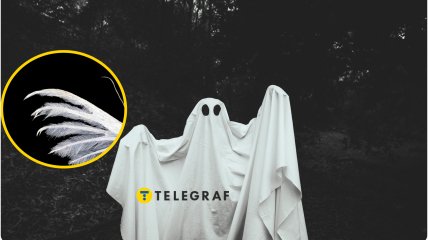 Облик бабочки очень причудливый