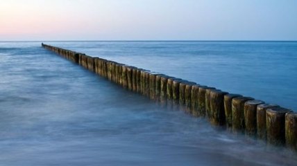 В Балтийском море стремительно размножаются ядовитые водоросли