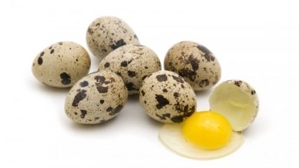 Перепелиные яйца в детском питании