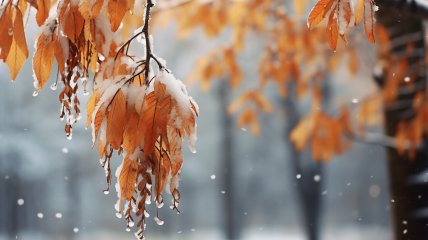 Прокопів день у 2023 році відзначається 22 листопада (раніше 5 грудня)