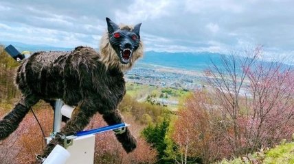 "Волк-монстр" на страже безопасности: в Японии придумали оригинальный способ борьбы с медведями