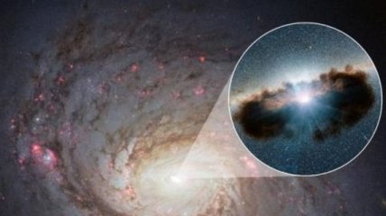 Телескоп ALMA помог понять, как влияют активные ядра на галактики