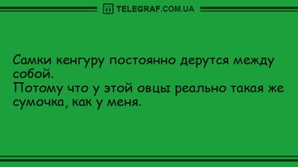 Свежие утренние анекдоты для отличного начала дня