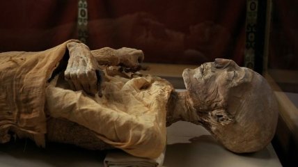 Ученые рассказали секрет египетских мумий