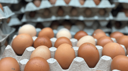 Курячі яйця