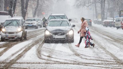 Люди переходят дорогу