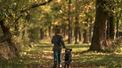 Дитина гуляє з собакою