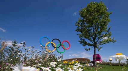 Девять крымских спортсменов поедут в Лондон на Олимпиаду