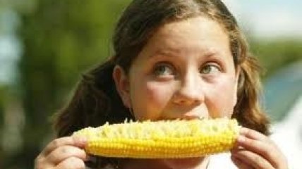 Как выбрать кукурузу (видео)