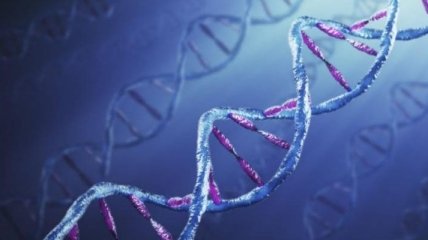 В ДНК человека найден второй спрятанный ретровирус