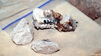 Уникальная археологическая находка: остатки пищи древних людей 