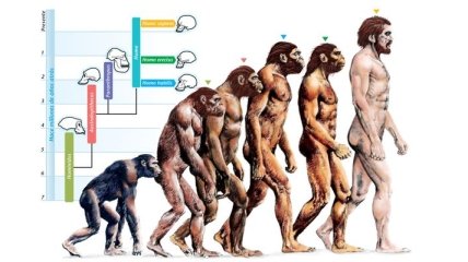 Ученые хотят оспорить теорию эволюции