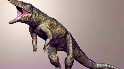 Ученые из США нашли останки крокодиломорфа 