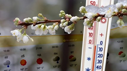 Прогноз погоды