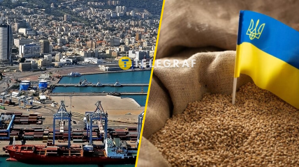 Это не первый корабль с зерном с оккупированных территорий Украины, которые хотели разгрузить в Хайфе