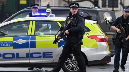 В Лондоне полиция перцовым спреем остановила преступника с мечом