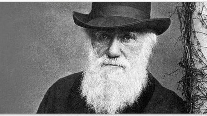 Ученые опровергли экологическую гипотезу Дарвина