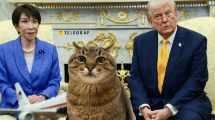 Премьер-министр Японии, президент США и кот