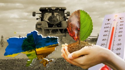 Теплые зимы обладают как плюсами, так и минусами для аграрного сектора. Фото Коллаж "Телеграфа"