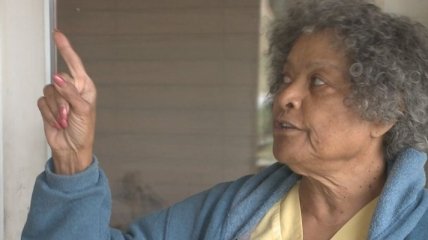 В США смелая 79-летняя старушка загнала в шкаф грабителя
