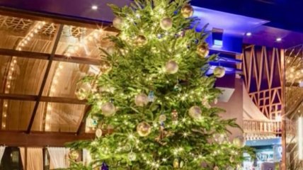 Как выглядит самая дорогая в мире новогодняя елка (Видео)