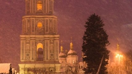 Волшебное преображение: появились фото "ожившей" новогодней елки в Киеве