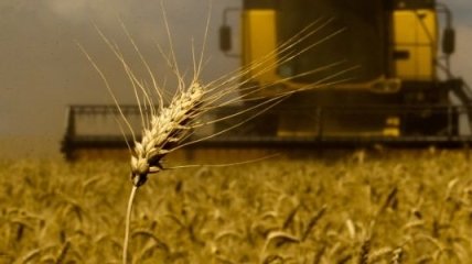 УАК: Темпы экспорта зерна из Украины уменьшаются