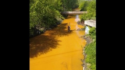 Вода в реке Лыбедь стала ярко-оранжевой: сеть шокировали фото