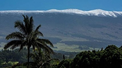 Аномальная погода: Гавайи неожиданно засыпало снегом