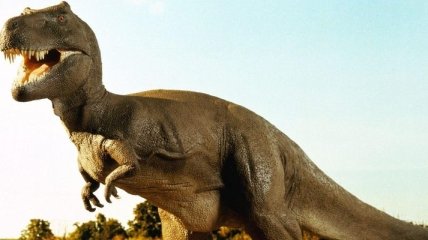 Палеонтологам удалось найти новый вид динозавров
