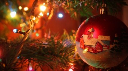 1,5 млн новогодних елок украсят дома украинцев 