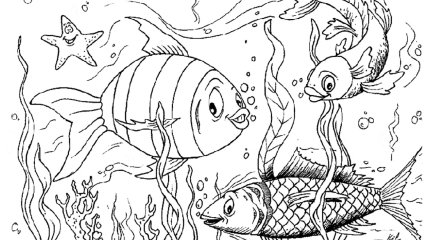 Экстремальный аквариум: мурена ― роскошная повелительница рыб