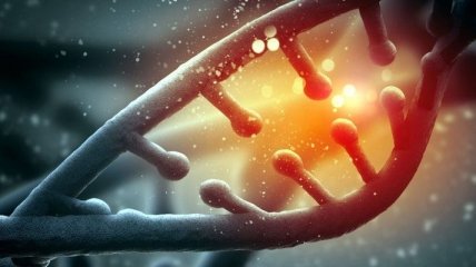 Ученые нашли генетические сигнатуры биологического старения