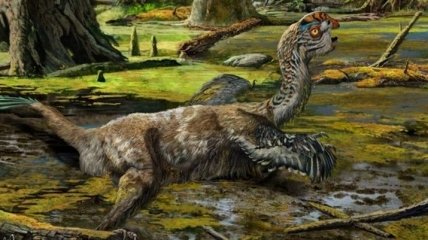 В Китае случайно обнаружили окаменелости динозавра