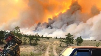 В Челябинской области огнем объяты около 5 тысяч гектаров: пожар добрался до поселков (видео)