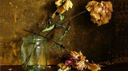 Сухоцветы относятся к так называемым мертвым предметам в доме