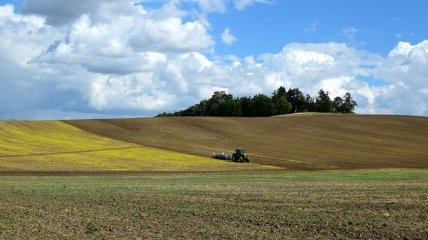 Рынок земли: в "СН" предлагают продавать не более 20 тысяч га в одни руки