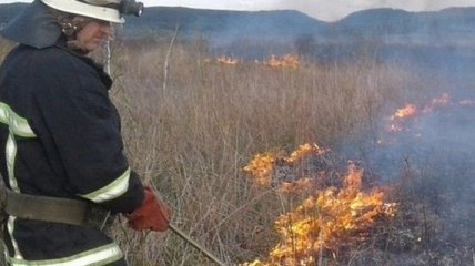 Жара до +34: украинцев предупреждают о чрезвычайной пожарной опасности