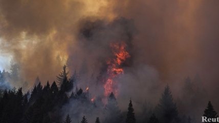 Пожары в Калифорнии: площадь, охваченная огнем, за сутки удвоилась