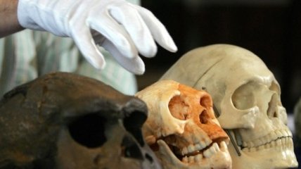 Индонезийские "хоббиты" оказались на десятки тысяч лет старше, чем считалось  
