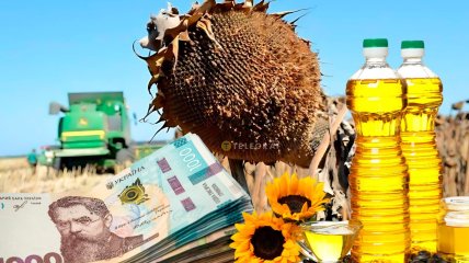 Колаж "Телеграфа"