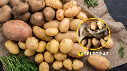 Хранение картофеля