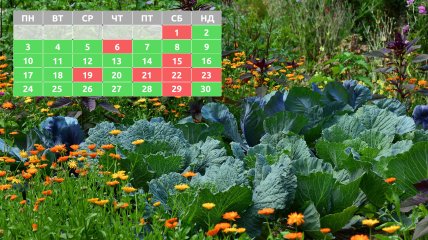 Названы благоприятные даты для посадки растений в апреле 2023 года