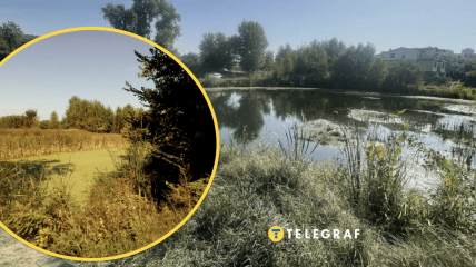 Озеро Гнилуша