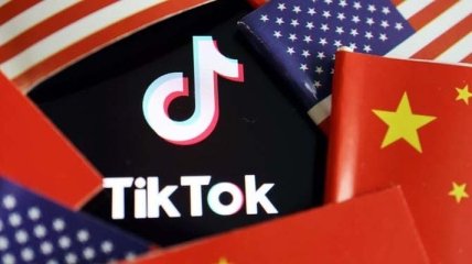 Twitter і TikTok ведуть переговори про об'єднання