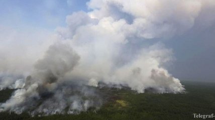Россияне митинговали против лесных пожаров Сибири