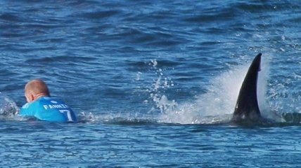 Акула напала на серфингиста, а его мать стала свидетелем (Видео)