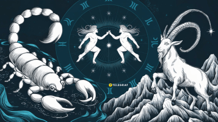 Их отличает особенный характер