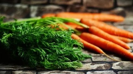 Морковь - это не только ценный продукт: в чем ее скрытая польза?