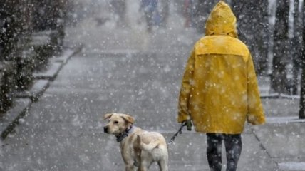 Непогода не отступает: в Украине ожидается мокрый снег и гололед (карта)